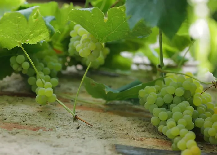 Cascina La Cinciallegra Oggiono