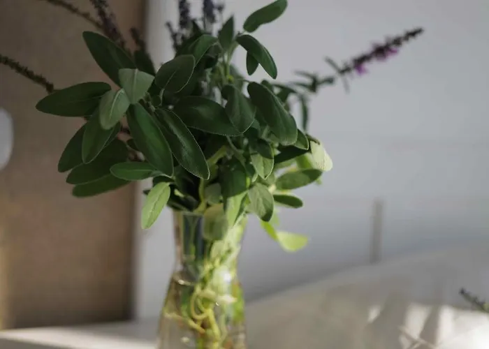 Bed & Breakfast Cascina La Cinciallegra Oggiono