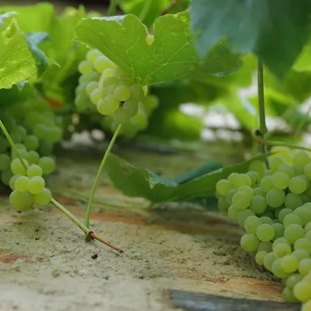 Cascina La Cinciallegra Oggiono