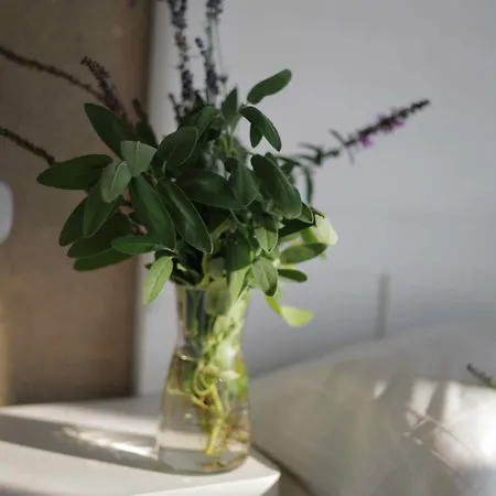 Bed & Breakfast Cascina La Cinciallegra Oggiono