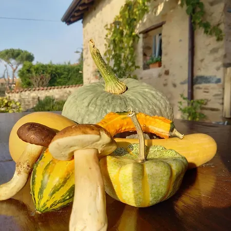 Cascina La Cinciallegra Bed & Breakfast Oggiono